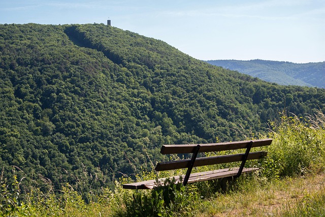 的足