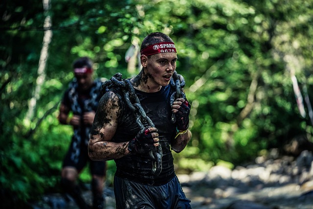 协同