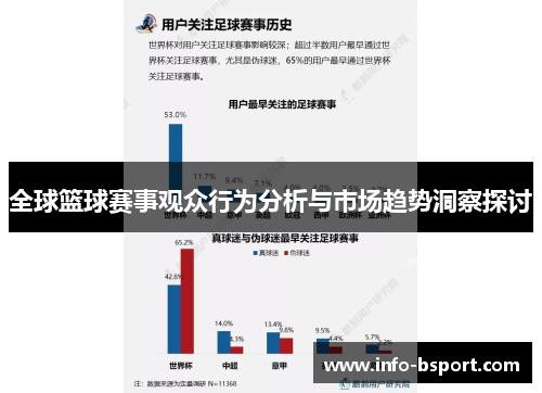 全球篮球赛事观众行为分析与市场趋势洞察探讨