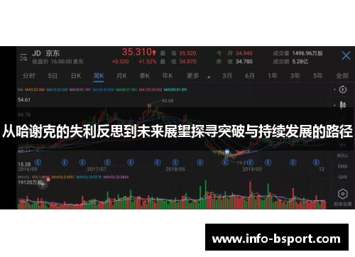 从哈谢克的失利反思到未来展望探寻突破与持续发展的路径