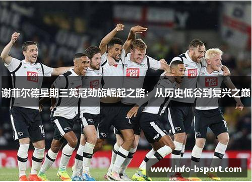 谢菲尔德星期三英冠劲旅崛起之路：从历史低谷到复兴之巅