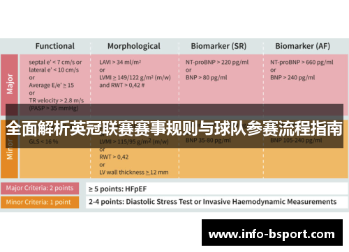 全面解析英冠联赛赛事规则与球队参赛流程指南